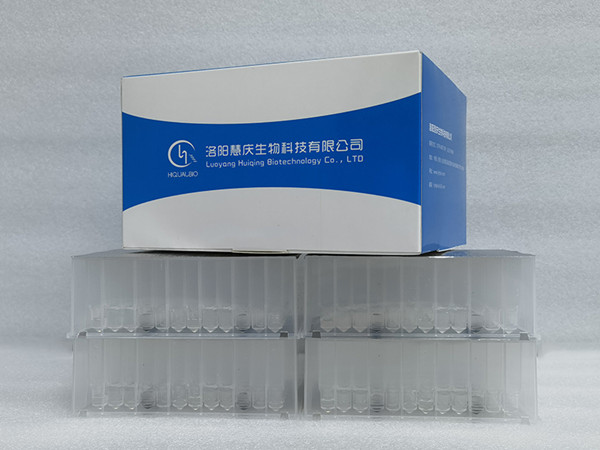 拭子類核酸提取試劑