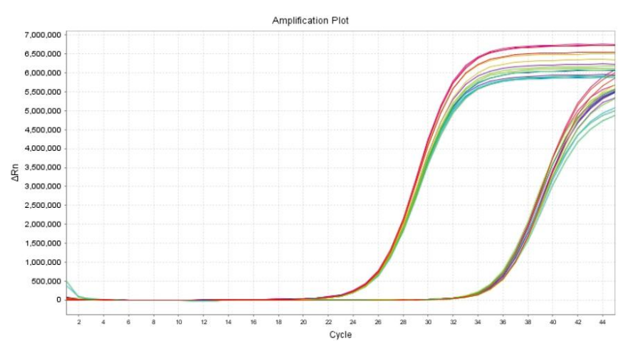 精密度和靈敏度相關數據