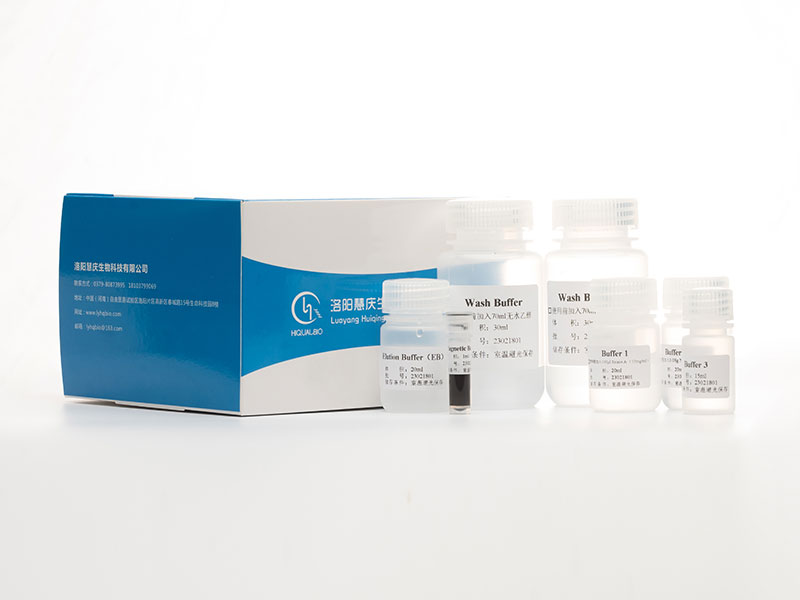 質粒DNA快速提取試劑(磁珠法)