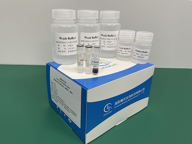 如何更好的獲得細菌基因組DNA/RNA？慧慶實驗成果分析